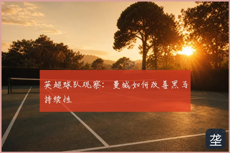 英超球队观察:曼城如何改善黑马持续性